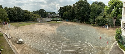 IMG_1630