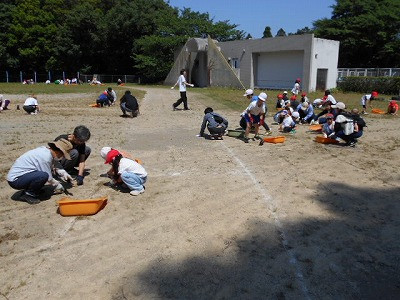 DSCN1364