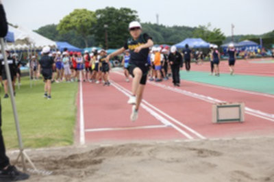 IMG_5347_result