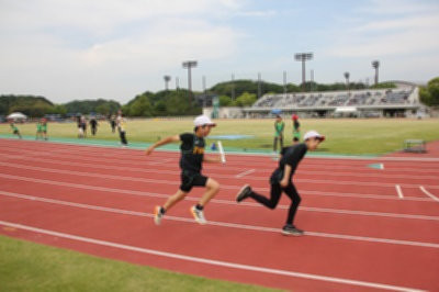 IMG_5356_result