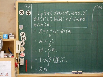 DSCN1538